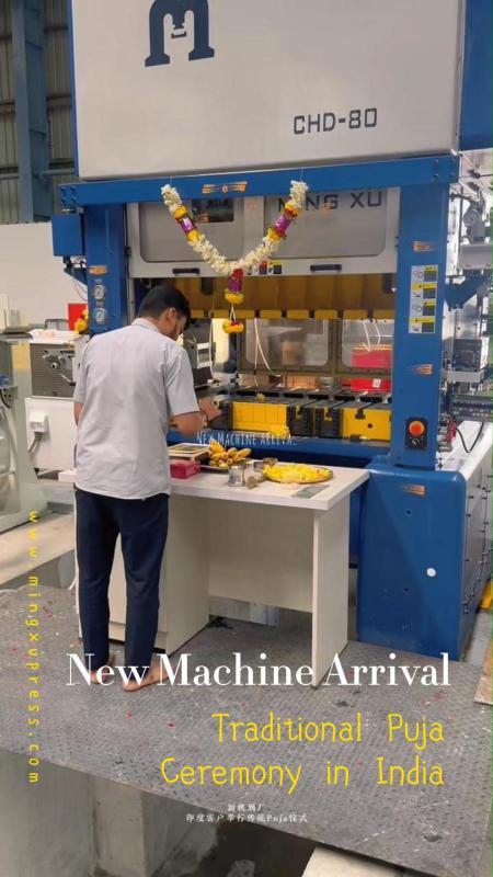 MINGXUHighSpeedPressMachinePuja